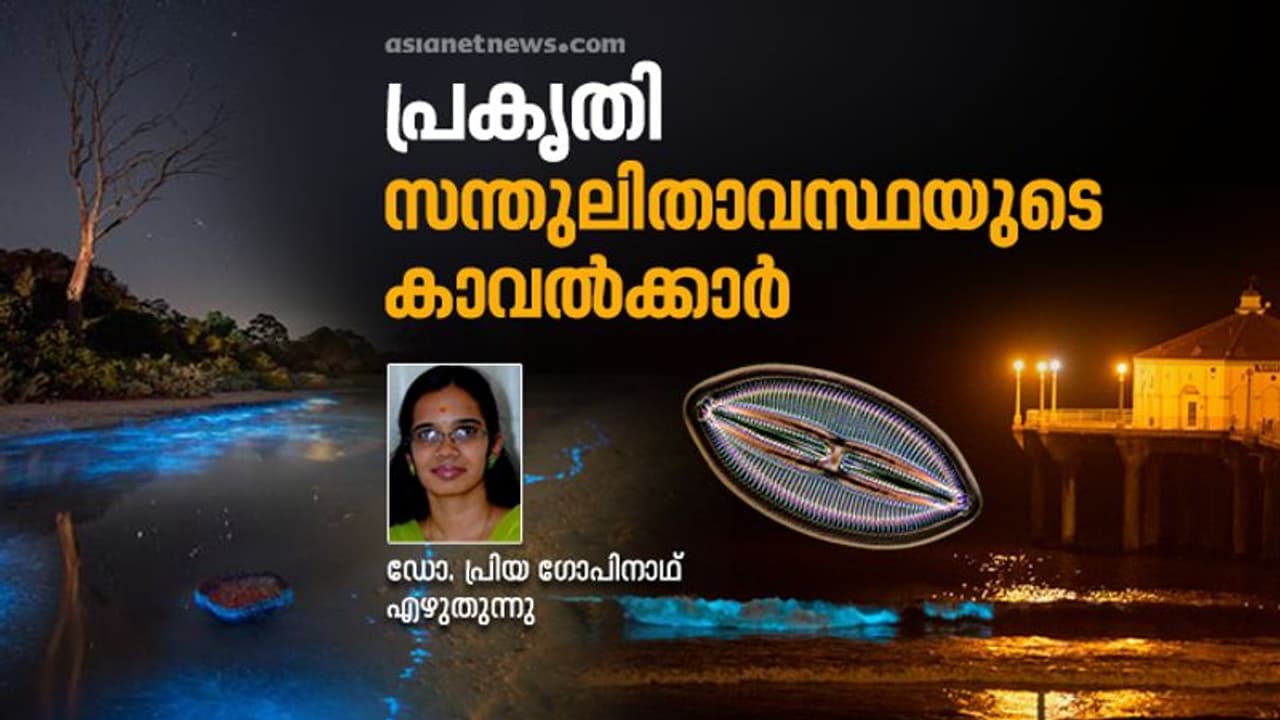 'കവരുകൾ'; പരിസ്ഥിതിയുടെ കാവല്‍ക്കാരായ ഒരു കുഞ്ഞ് ജീവനെക്കുറിച്ച് അറിയാം...