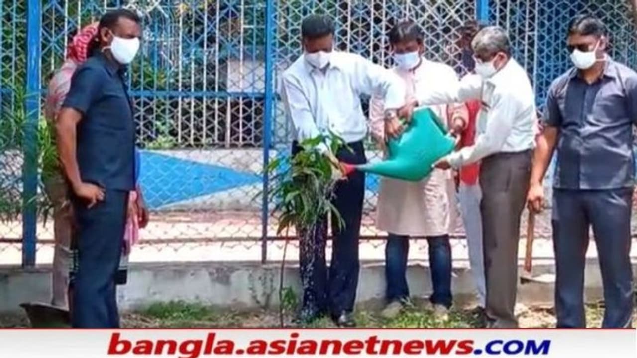 'পরিবেশ নিয়ে ছেলে খেলা করো না', পরিবেশ দিবসে নিজের হাতে বৃক্ষরোপণ করলেন ফিরহাদ 'পরিবেশ নিয়ে ছেলে খেলা করো না', পরিবেশ দিবসে নিজের হাতে বৃক্ষরোপণ করলেন ফিরহাদ