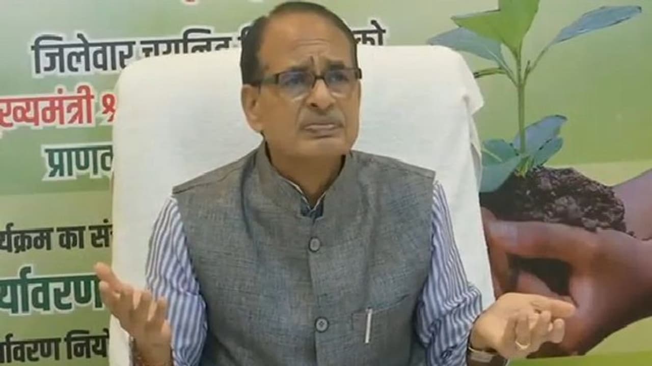 CM शिवराज का बड़ा फैसला: MP में घर बनाना है तो पेड़ लगाना अनिवार्य, ऐसा करने वाला देश का पहला राज्य CM शिवराज का बड़ा फैसला: MP में घर बनाना है तो पेड़ लगाना अनिवार्य, ऐसा करने वाला देश का पहला राज्य
