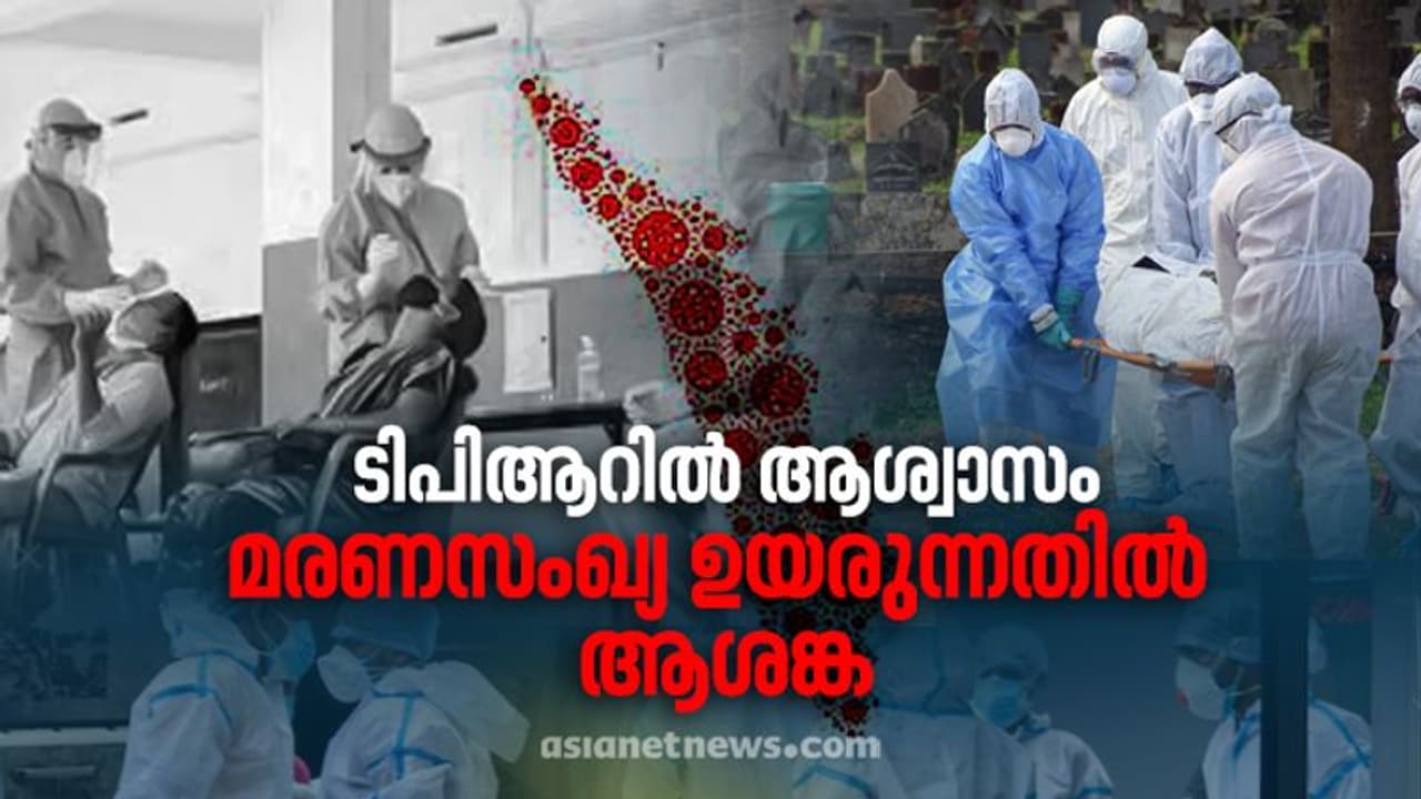 കുറയാതെ മരണനിരക്ക്; 209 മരണം കൂടി സ്ഥിരീകരിച്ചു, 17328 പേര്ക്ക് കൂടി കൊവിഡ്, രോഗമുക്തി 24003, ടിപിആർ 14.89% കുറയാതെ മരണനിരക്ക്; 209 മരണം കൂടി സ്ഥിരീകരിച്ചു, 17328 പേര്ക്ക് കൂടി കൊവിഡ്, രോഗമുക്തി 24003, ടിപിആർ 14.89%