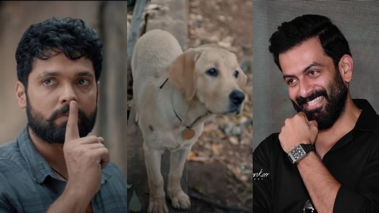 മനം കവരാന് മലയാളത്തിലും '777 ചാര്ലി'; രക്ഷിത് ഷെട്ടി ചിത്രം അവതരിപ്പിച്ച് പൃഥ്വി: ടീസര് മനം കവരാന് മലയാളത്തിലും '777 ചാര്ലി'; രക്ഷിത് ഷെട്ടി ചിത്രം അവതരിപ്പിച്ച് പൃഥ്വി: ടീസര്