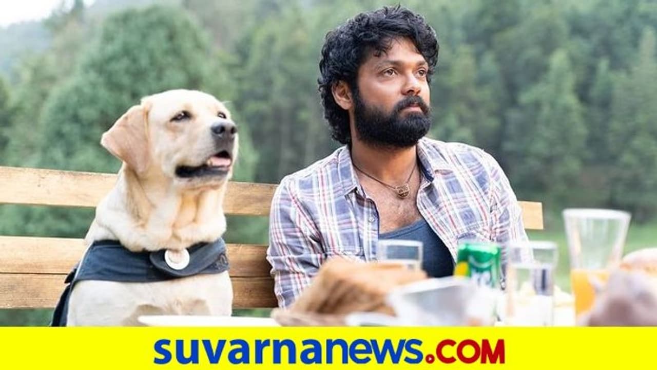 4 ಭಾಷೆಗಳಲ್ಲಿ 777 ಚಾರ್ಲಿ ಟೀಸರ್ ಬಿಡುಗಡೆ: 6 ಲಕ್ಷಕ್ಕೂ ಹೆಚ್ಚು ವ್ಯೂಸ್ 4 ಭಾಷೆಗಳಲ್ಲಿ 777 ಚಾರ್ಲಿ ಟೀಸರ್ ಬಿಡುಗಡೆ: 6 ಲಕ್ಷಕ್ಕೂ ಹೆಚ್ಚು ವ್ಯೂಸ್