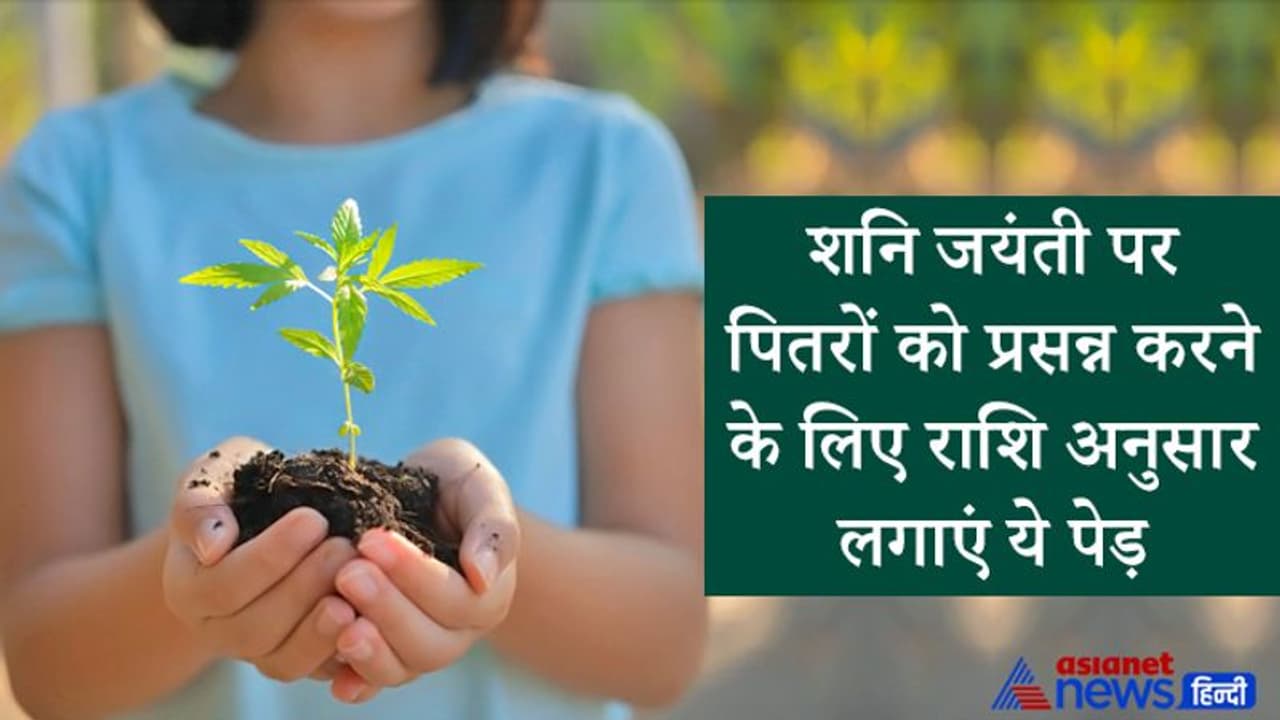 ज्येष्ठ अमावस्या पर रोहिणी नक्षत्र का शुभ योग, इस दिन पौधे लगाने से प्रसन्न होते हैं पितृ ज्येष्ठ अमावस्या पर रोहिणी नक्षत्र का शुभ योग, इस दिन पौधे लगाने से प्रसन्न होते हैं पितृ