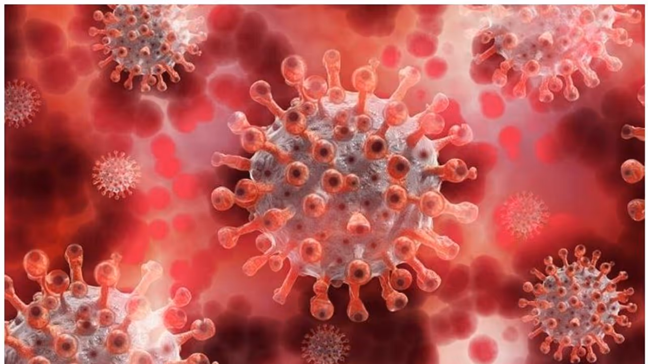 ഇന്ത്യയില് കൊറോണ വെെറസിന്റെ പുതിയ വകഭേദം കണ്ടെത്തിയതായി റിപ്പോർട്ട് ഇന്ത്യയില് കൊറോണ വെെറസിന്റെ പുതിയ വകഭേദം കണ്ടെത്തിയതായി റിപ്പോർട്ട്