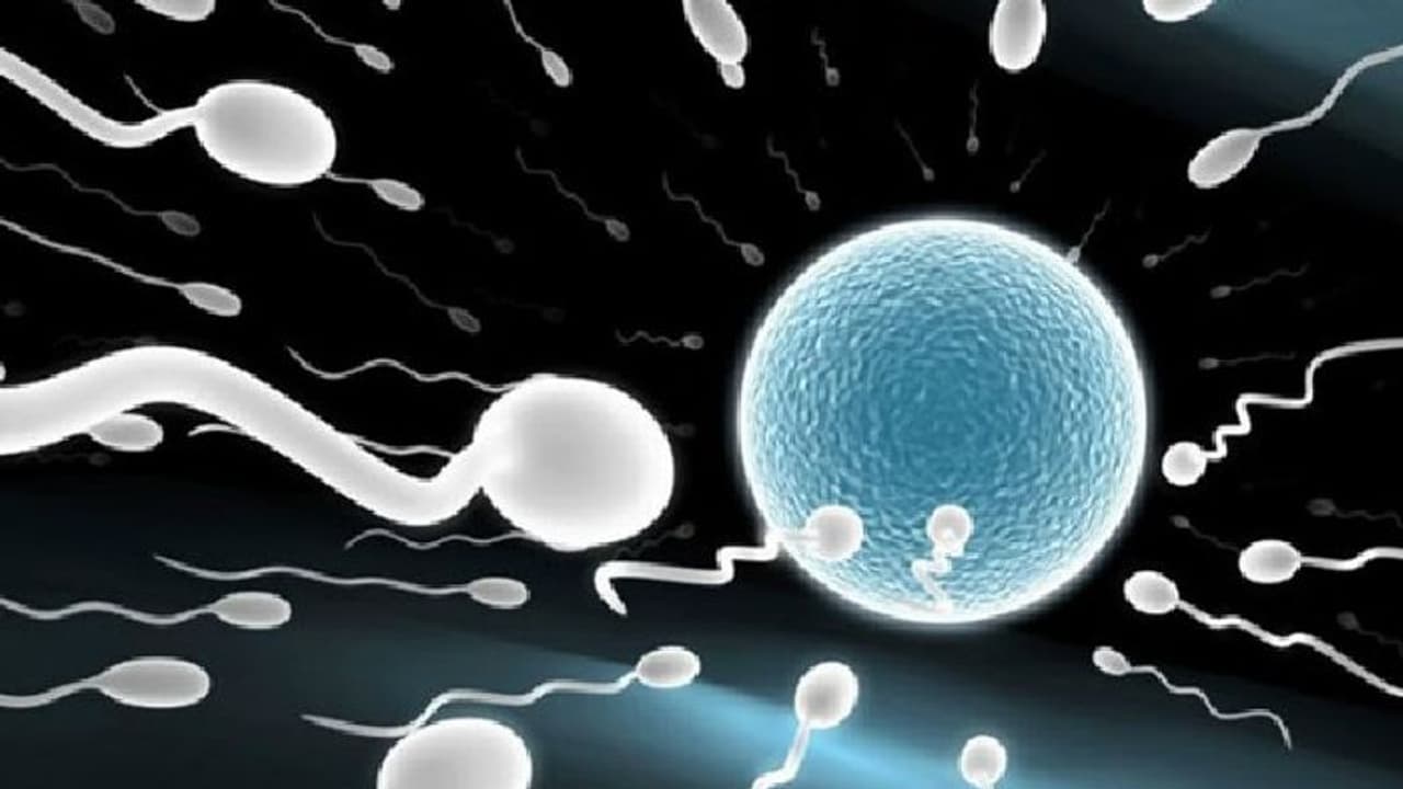 'ಸಾವಿನ ಅಂಚಿನಲ್ಲಿರುವ ಪತಿಯ ವೀರ್ಯ ಸಂರಕ್ಷಣೆ ಮಾಡಿ' ಮನವಿಗೆ ಕೋರ್ಟ್ ಸಮ್ಮತಿ