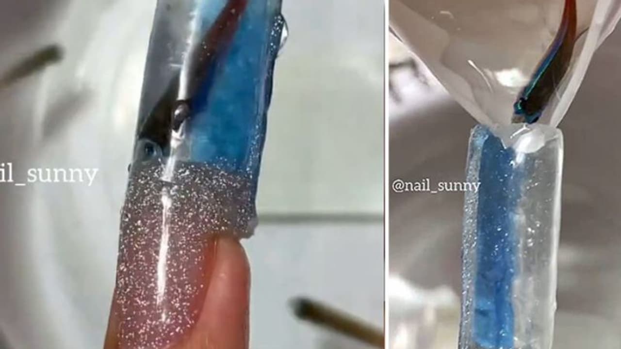 ജീവനുള്ള മീനുകളെ ഉപയോഗിച്ച് മാനിക്യൂര്‍; നെയില്‍ ആര്‍ട്ടിസ്റ്റിനെതിരെ രൂക്ഷ വിമര്‍ശനം