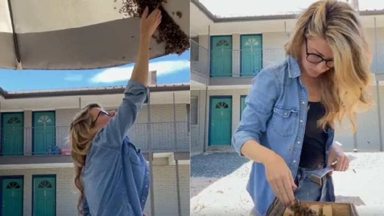 കൈകൊണ്ട് തേനീച്ചക്കൂട്ടത്തെ അടർത്തിയെടുക്കുന്ന യുവതി; വീഡിയോ വൈറല് കൈകൊണ്ട് തേനീച്ചക്കൂട്ടത്തെ അടർത്തിയെടുക്കുന്ന യുവതി; വീഡിയോ വൈറല്