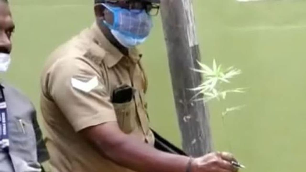 ప్రపంచ పర్యావరణ దినోత్సవం: గంజాయి మొక్క నాటాడు.. యువకుడి కోసం పోలీసుల గాలింపు ప్రపంచ పర్యావరణ దినోత్సవం: గంజాయి మొక్క నాటాడు.. యువకుడి కోసం పోలీసుల గాలింపు