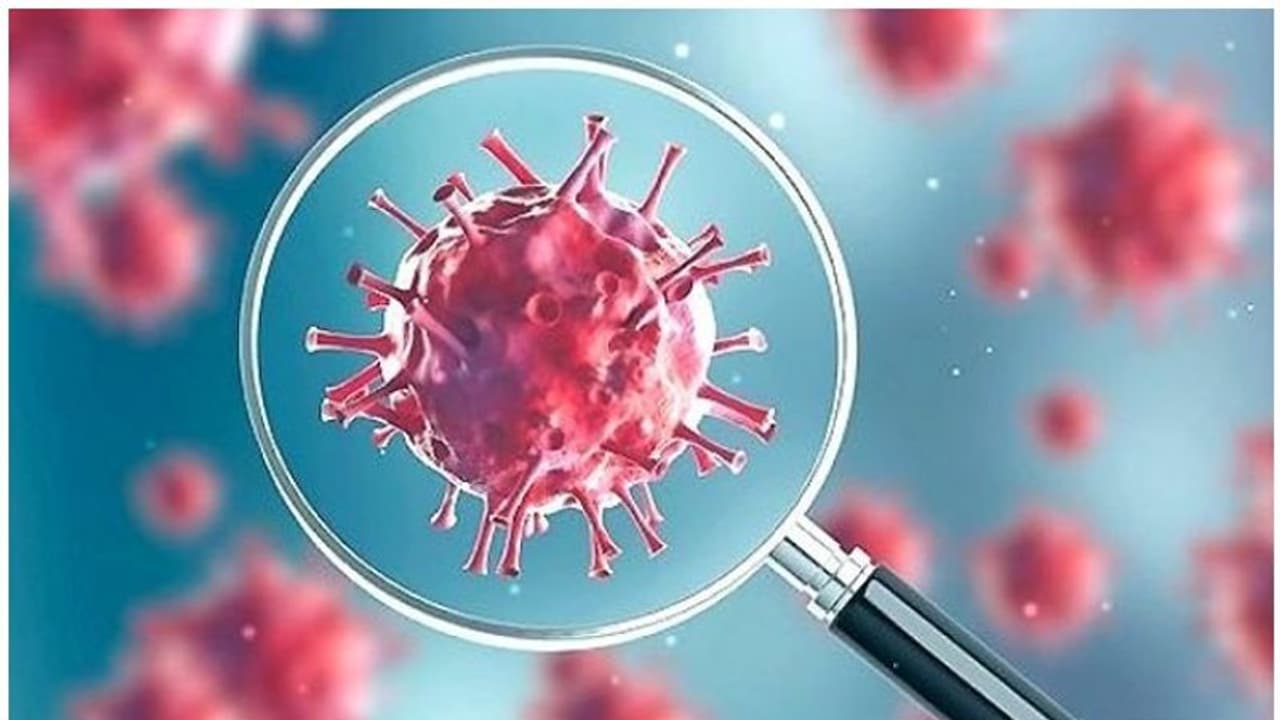 കൊറോണ വെെറസ് വുഹാൻ ലാബിൽ നിന്ന് ചോർന്നതാണെന്ന പഠന റിപ്പോർട്ട് പുറത്ത് വിട്ട് വാൾസ്ട്രീറ്റ് ജേണൽ കൊറോണ വെെറസ് വുഹാൻ ലാബിൽ നിന്ന് ചോർന്നതാണെന്ന പഠന റിപ്പോർട്ട് പുറത്ത് വിട്ട് വാൾസ്ട്രീറ്റ് ജേണൽ