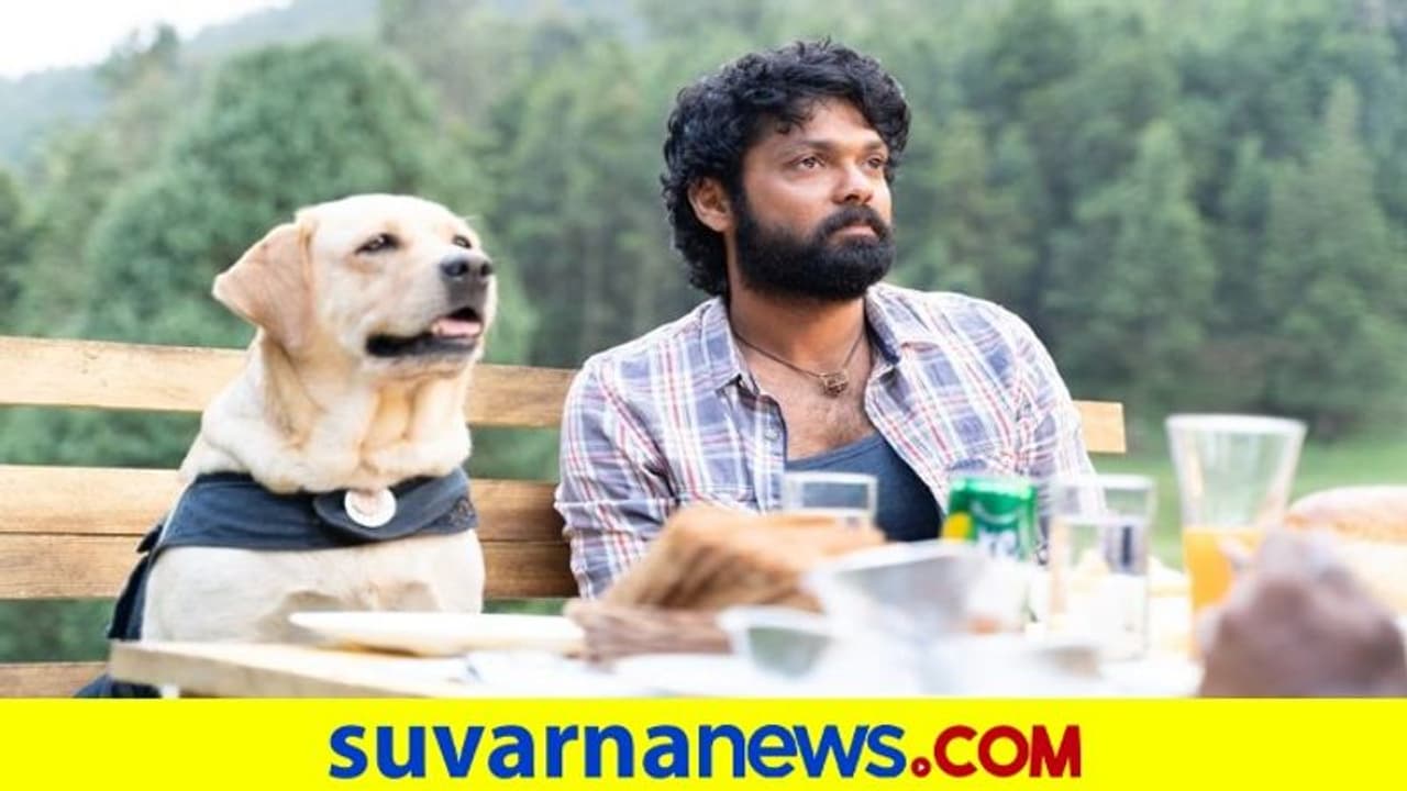 ನಾನು ನಿಮ್ಮ ಜೊತೆ ನಟಿಸಬೇಕು; ರಕ್ಷಿತ್‌ಗೆ ಸ್ಟಾರ್ ನಟಿಯ ಬೇಡಿಕೆ