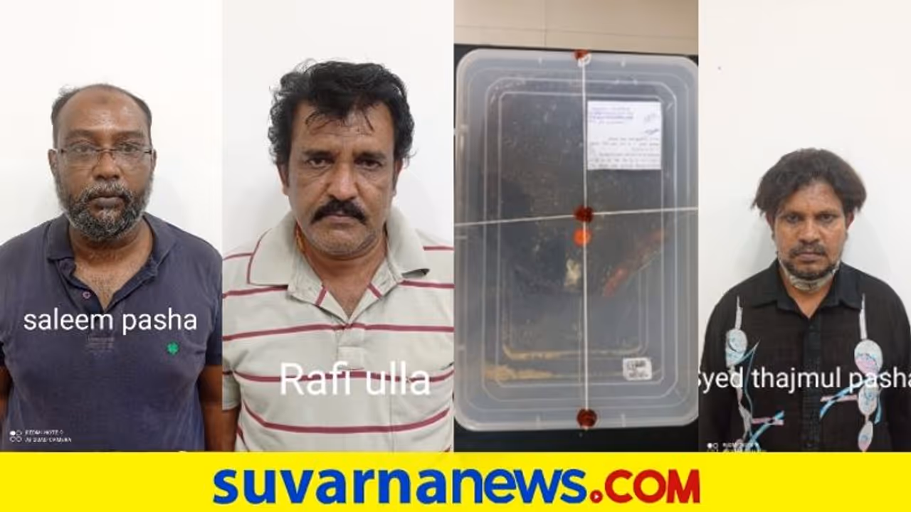 ಬೆಂಗ್ಳೂರಲ್ಲಿ ಅಂಬರ್ ಗ್ರೀಸ್ ಮಾರಾಟ ಜಾಲ, ವೀರ್ಯ ತಿಮಿಂಗಿಲದ ವಾಂತಿಗೆ ಎಂಥಾ ಬೆಲೆ!