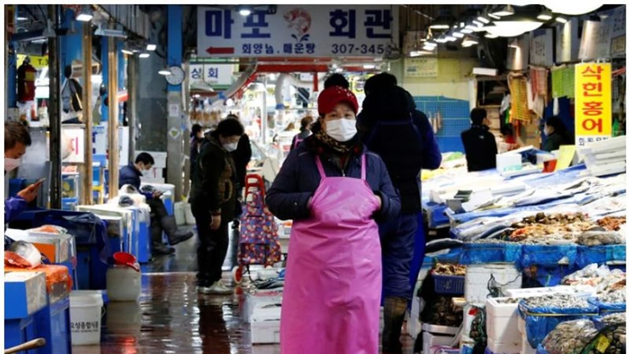 ചെെനയിലെ വുഹാനിൽ ജീവനോടെ വിൽക്കാൻ വച്ചിരുന്നത് അരലക്ഷത്തോളം കാട്ടുമൃഗങ്ങളെയെന്ന് പുതിയ പഠനം ചെെനയിലെ വുഹാനിൽ ജീവനോടെ വിൽക്കാൻ വച്ചിരുന്നത് അരലക്ഷത്തോളം കാട്ടുമൃഗങ്ങളെയെന്ന് പുതിയ പഠനം