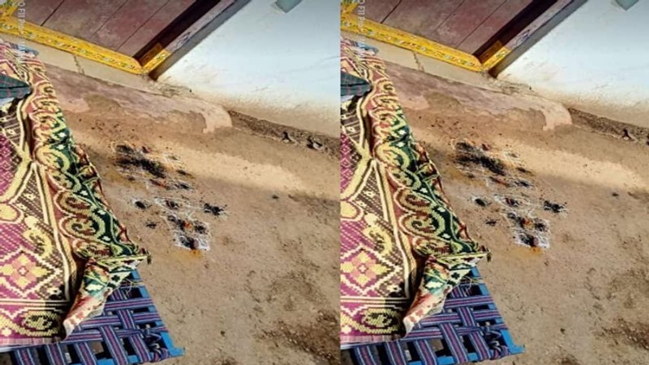 మధిరలో అమానుషం: భర్త చేత భార్య పన్ను పీకించి..... మధిరలో అమానుషం: భర్త చేత భార్య పన్ను పీకించి.....