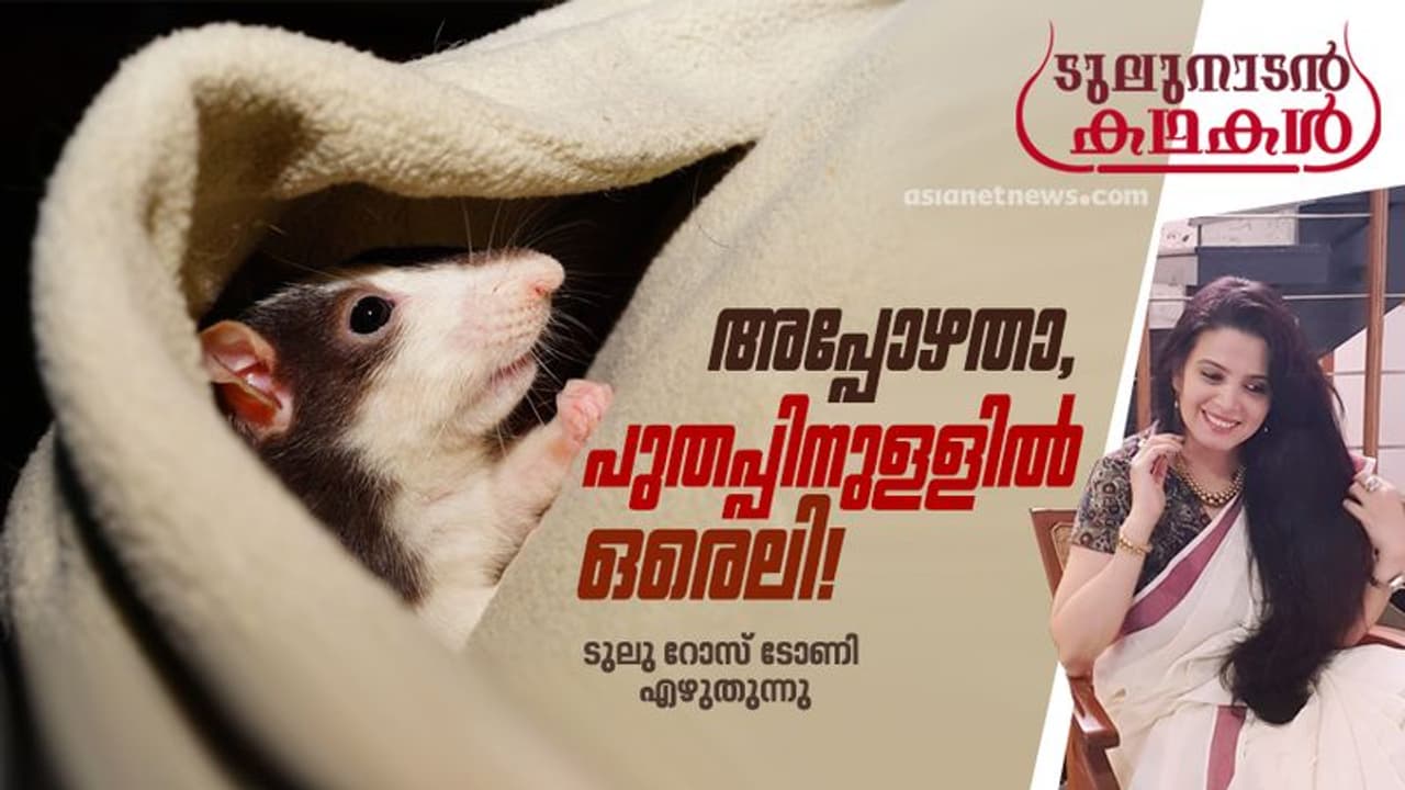എലിയും മനുഷ്യരും സ്നേഹത്തോടെ കഴിയുന്ന വീട്; അതായിരുന്നു എന്റെ സ്വപ്നം! എലിയും മനുഷ്യരും സ്നേഹത്തോടെ കഴിയുന്ന വീട്; അതായിരുന്നു എന്റെ സ്വപ്നം!