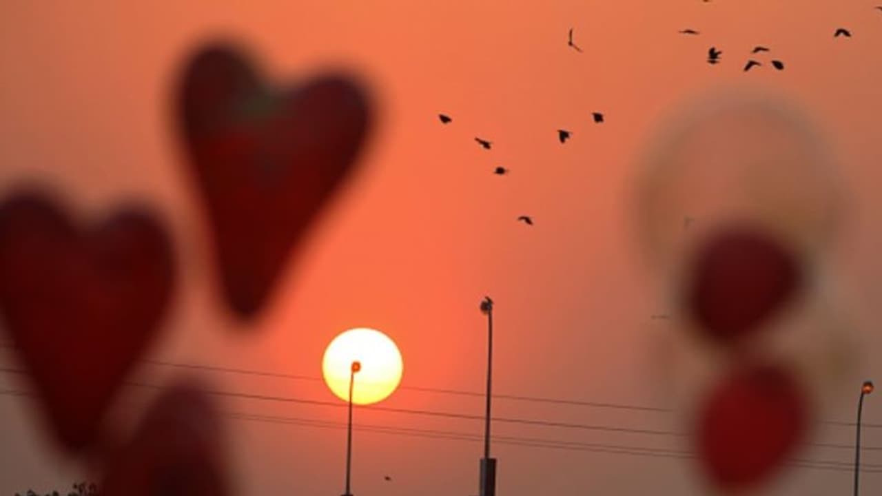 প্রেমিকের জন্য ১১ বছর লোকচক্ষুর অন্তরালে প্রেমিকা, লকডাউনে সামনে এক অন্য প্রেম কাহিনি প্রেমিকের জন্য ১১ বছর লোকচক্ষুর অন্তরালে প্রেমিকা, লকডাউনে সামনে এক অন্য প্রেম কাহিনি