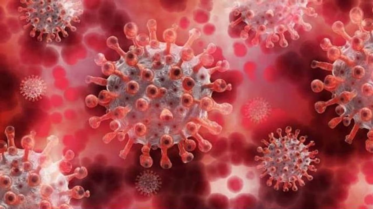 করোনা মহামারির মধ্যেই নতুন কোভিড ১৯ জীবাণুর সন্ধান চিনে,তবে কি আরও ভয়ঙ্কর হবে অতিমারি