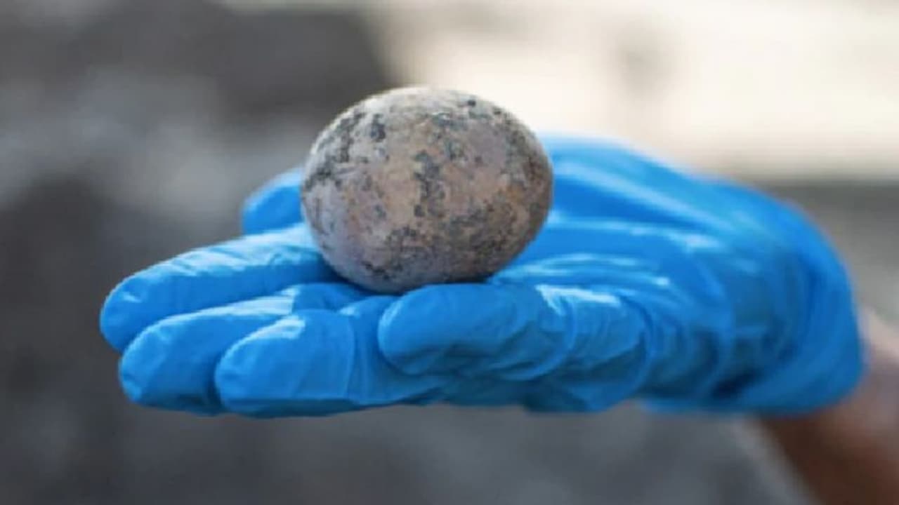 ആയിരം വര്‍ഷത്തോളം പഴക്കമുള്ള കോഴിമുട്ട കണ്ടെത്തി പുരാവസ്തു ഗവേഷകര്‍...