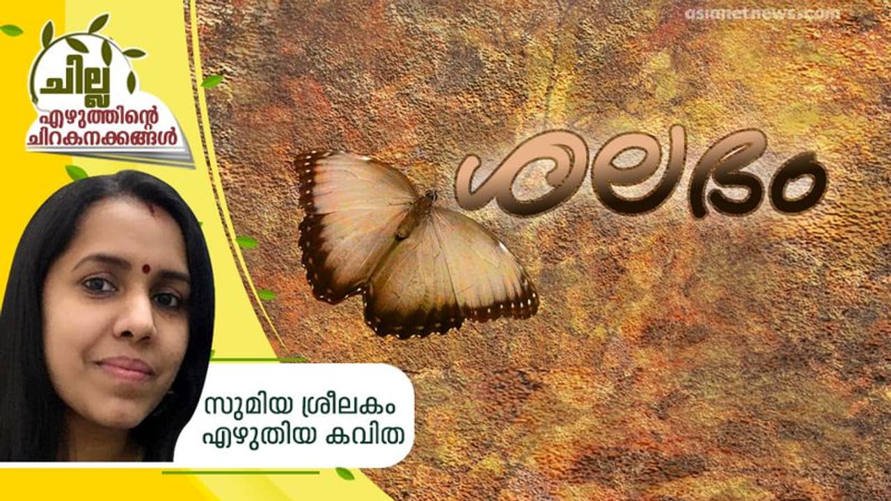 ശലഭം, സുമിയ ശ്രീലകം എഴുതിയ കവിത ശലഭം, സുമിയ ശ്രീലകം എഴുതിയ കവിത