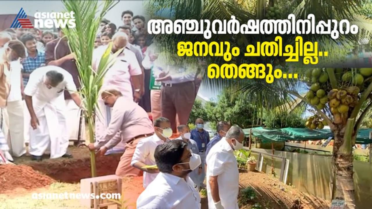 18 കുല തേങ്ങയുമായി മുഖ്യമന്ത്രിയുടെ മനം നിറച്ച് സെക്രട്ടറിയേറ്റ് വളപ്പിലെ തെങ്ങ് 18 കുല തേങ്ങയുമായി മുഖ്യമന്ത്രിയുടെ മനം നിറച്ച് സെക്രട്ടറിയേറ്റ് വളപ്പിലെ തെങ്ങ്