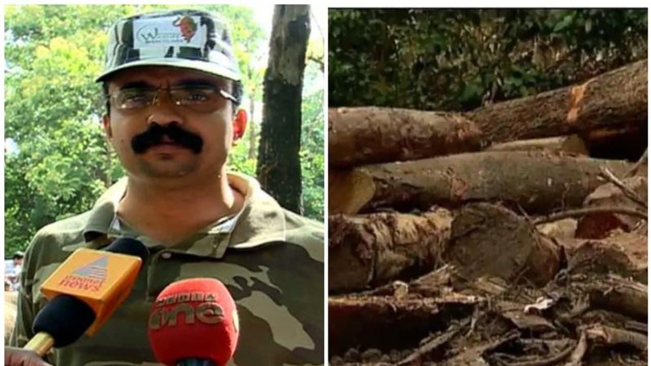 മുട്ടിൽ മരംമുറി: ഉന്നതതല അന്വേഷണം പ്രഖ്യാപിച്ച് സർക്കാർ, വനംമന്ത്രി ഇടപെട്ടതോടെ ധനേഷ് കുമാർ വീണ്ടും ചുമതലയിൽ