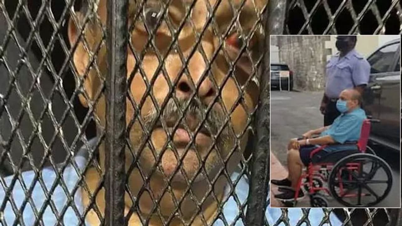 कहीं फिर से रफूचक्कर न हो जाए भगोड़ा मेहुल चोकसी, इसलिए डोमिनिका HC ने बेल देने से किया मना कहीं फिर से रफूचक्कर न हो जाए भगोड़ा मेहुल चोकसी, इसलिए डोमिनिका HC ने बेल देने से किया मना