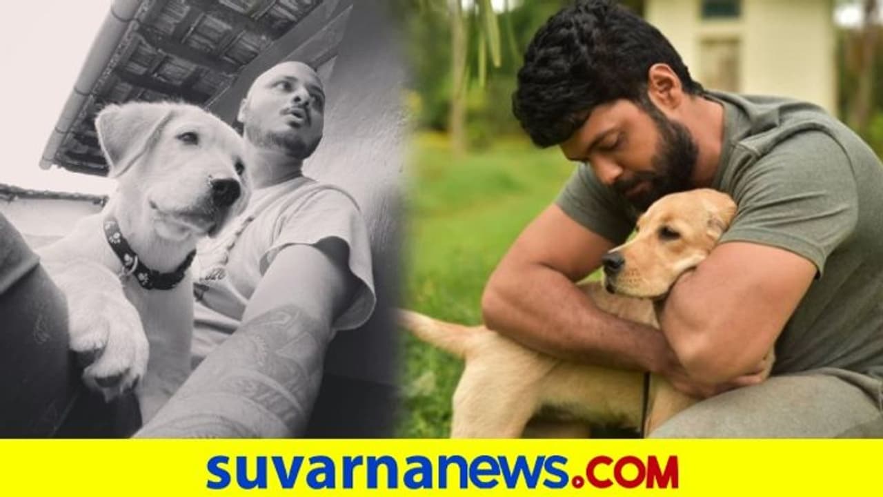 ಕನ್ನಡದಲ್ಲಿ ಶುರುವಾಗಿದೆ ಸ್ಪೂಫ್ ಟ್ರೆಂಡ್; ಸಚಿನ್ ಶೆಟ್ಟಿ ವಿಡಿಯೋ ವೈರಲ್! ಕನ್ನಡದಲ್ಲಿ ಶುರುವಾಗಿದೆ ಸ್ಪೂಫ್ ಟ್ರೆಂಡ್; ಸಚಿನ್ ಶೆಟ್ಟಿ ವಿಡಿಯೋ ವೈರಲ್!