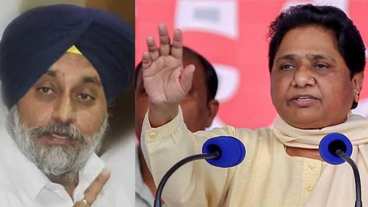 ಪಂಜಾಬ್‌ನಲ್ಲಿ ಅಕಾಲಿ, ಬಿಎಸ್ಪಿ ದೋಸ್ತಿ!