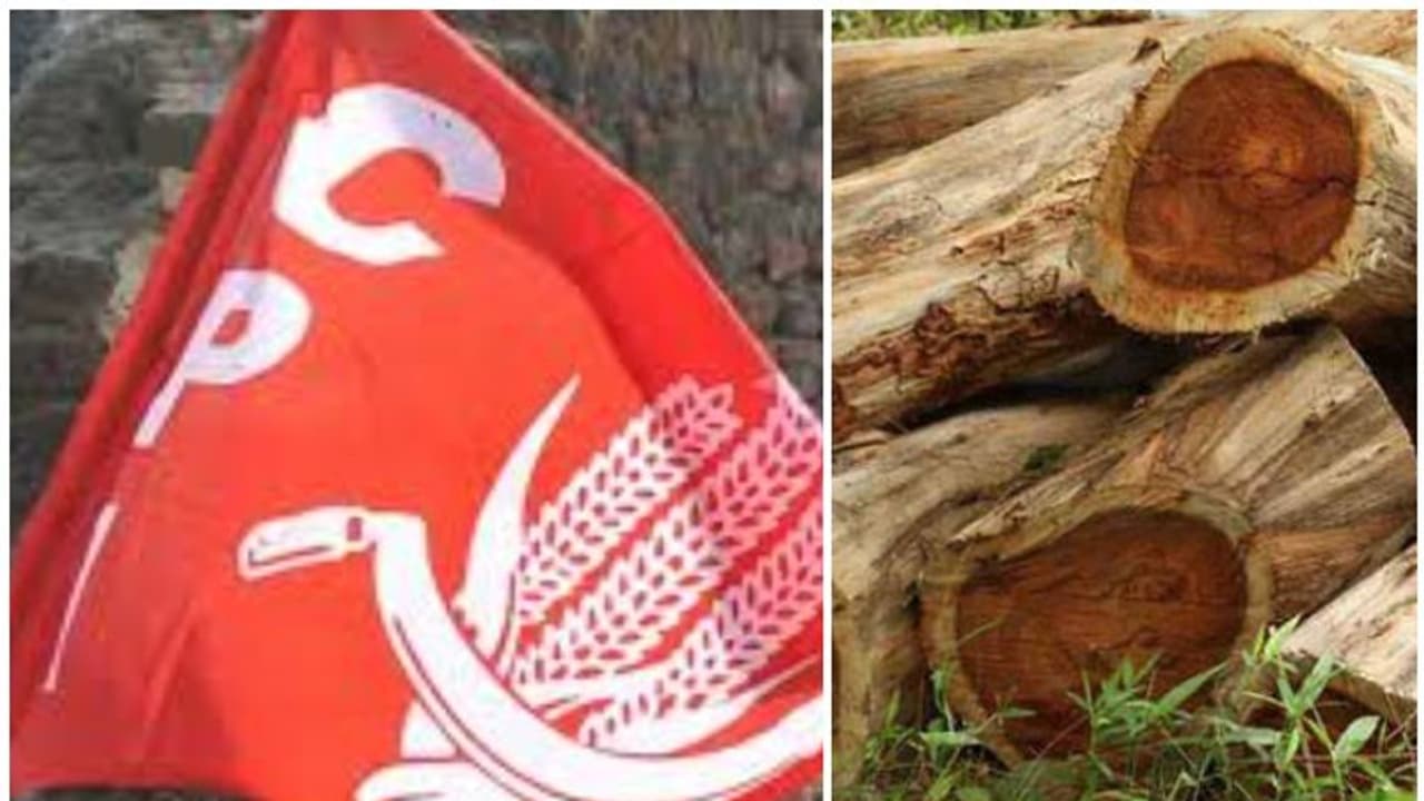 വനംകൊള്ള: വിശദമായി ചര്ച്ച ചെയ്യാൻ സിപിഐ, സംസ്ഥാന നേതൃയോഗം വിളിക്കും വനംകൊള്ള: വിശദമായി ചര്ച്ച ചെയ്യാൻ സിപിഐ, സംസ്ഥാന നേതൃയോഗം വിളിക്കും