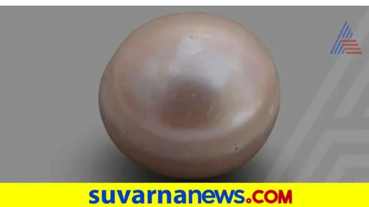 Gemology: ಪರ್ಲ್ ಧರಿಸಿದರೆ ಹಣಕಾಸಿನ ಸಮಸ್ಯೆ ಇರಲ್ಲ