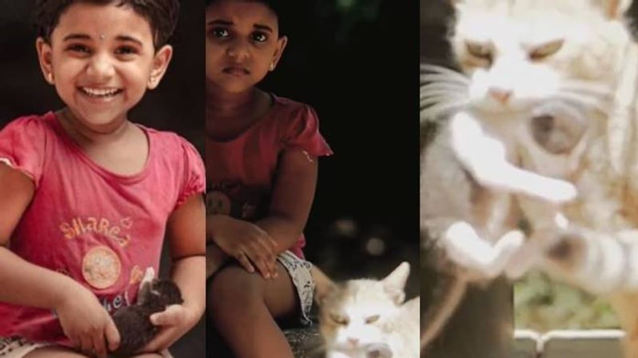 പൂച്ചക്കുട്ടിയെ മടിയിലിരുത്തി വന് 'പോസിങ്'; അപ്രതീക്ഷിതമായി അമ്മപ്പൂച്ചയെത്തി; പിന്നീട് സംഭവിച്ചത്... പൂച്ചക്കുട്ടിയെ മടിയിലിരുത്തി വന് 'പോസിങ്'; അപ്രതീക്ഷിതമായി അമ്മപ്പൂച്ചയെത്തി; പിന്നീട് സംഭവിച്ചത്...