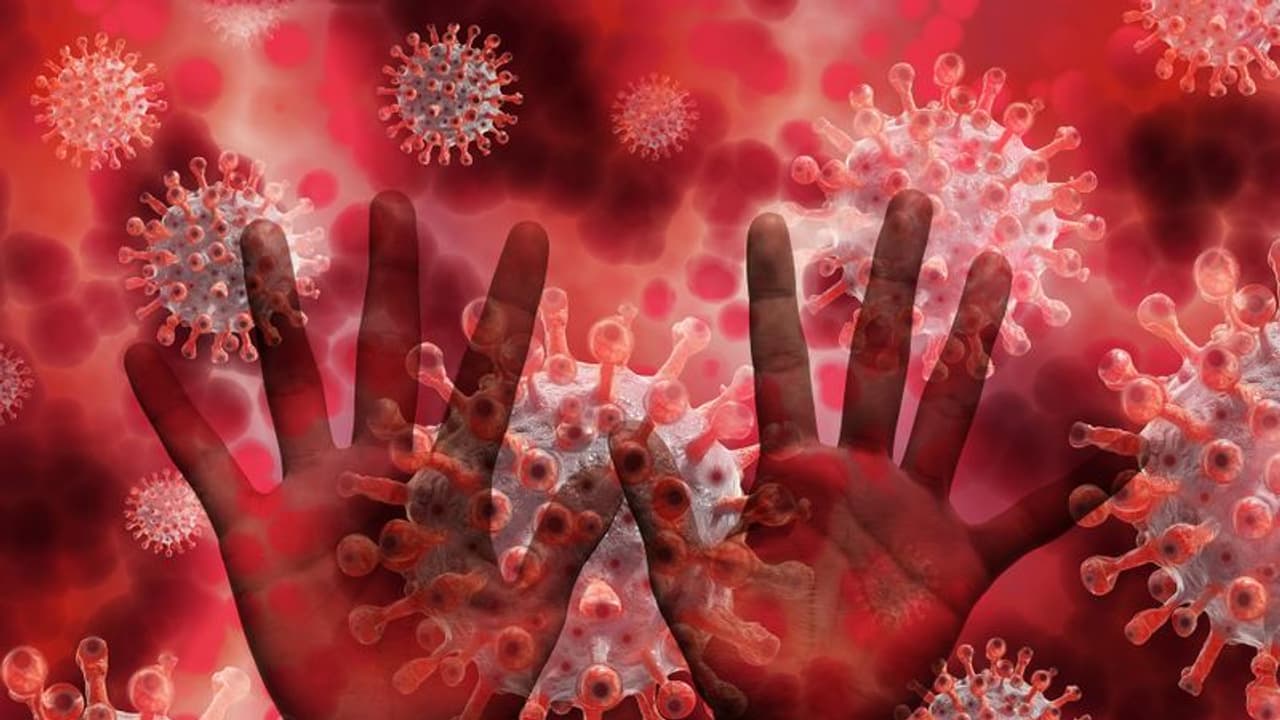 మరో కొత్త వ్యాధి కలకలం: యూకేలో రెండు మంకీపాక్స్ కేసులు మరో కొత్త వ్యాధి కలకలం: యూకేలో రెండు మంకీపాక్స్ కేసులు