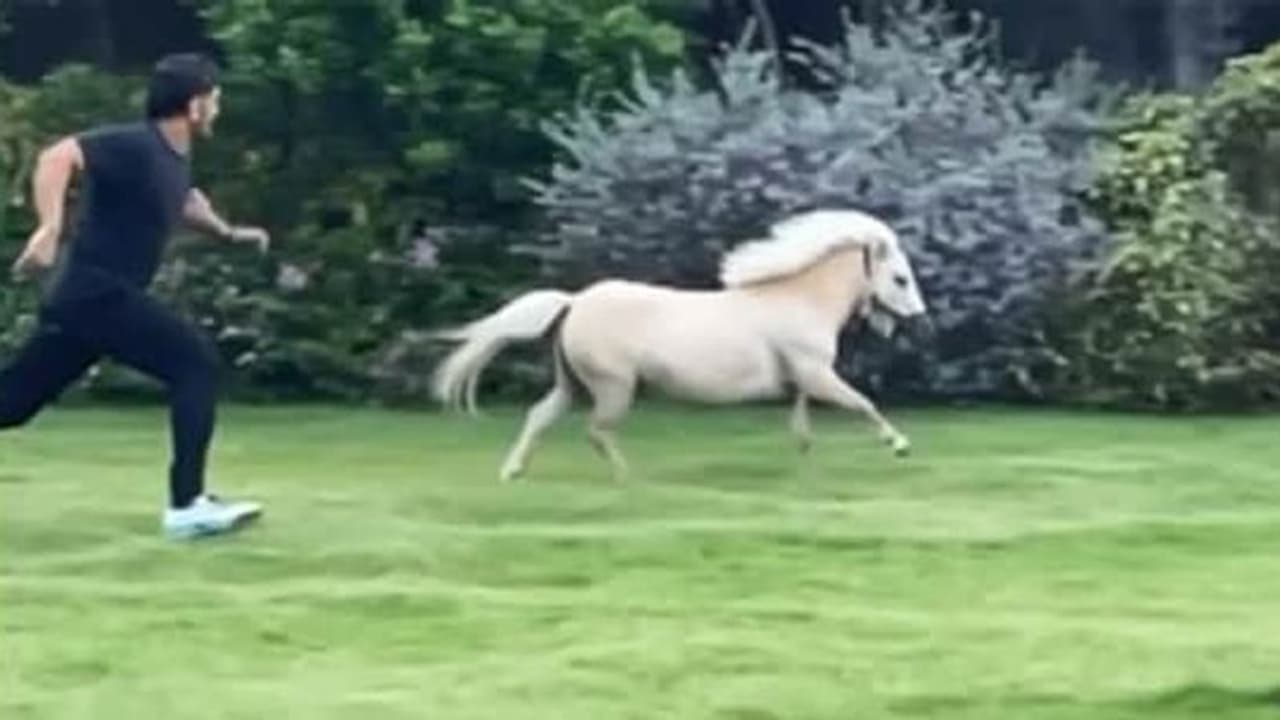 Watch MS Dhoni test his running skills against his pony