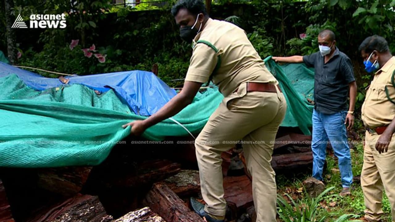 കാർഡമം ഹിൽ റിസർവിൽ പെട്ട സ്ഥലത്തു നിന്ന് മുറിച്ചു കടത്തിയ ലോഡു കണക്കിന് തടി വനംവകുപ്പ് പിടികൂടി കാർഡമം ഹിൽ റിസർവിൽ പെട്ട സ്ഥലത്തു നിന്ന് മുറിച്ചു കടത്തിയ ലോഡു കണക്കിന് തടി വനംവകുപ്പ് പിടികൂടി