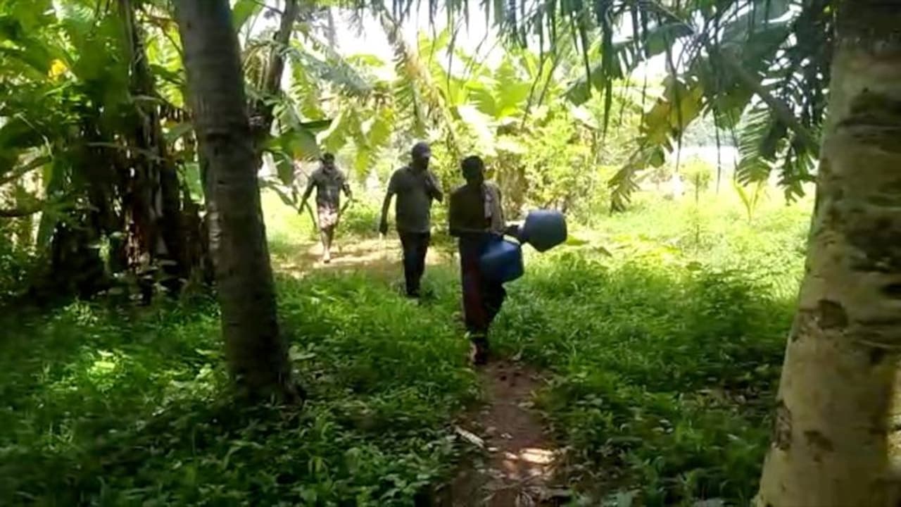 ഒരു കാൻ ചാരായത്തിന് 30,000 രൂപ വരെ വില; കുടിവെള്ള വില്പനയുടെ മറവില് ചാരായ വിൽപ്പന, യുവാവ് അറസ്റ്റില് ഒരു കാൻ ചാരായത്തിന് 30,000 രൂപ വരെ വില; കുടിവെള്ള വില്പനയുടെ മറവില് ചാരായ വിൽപ്പന, യുവാവ് അറസ്റ്റില്