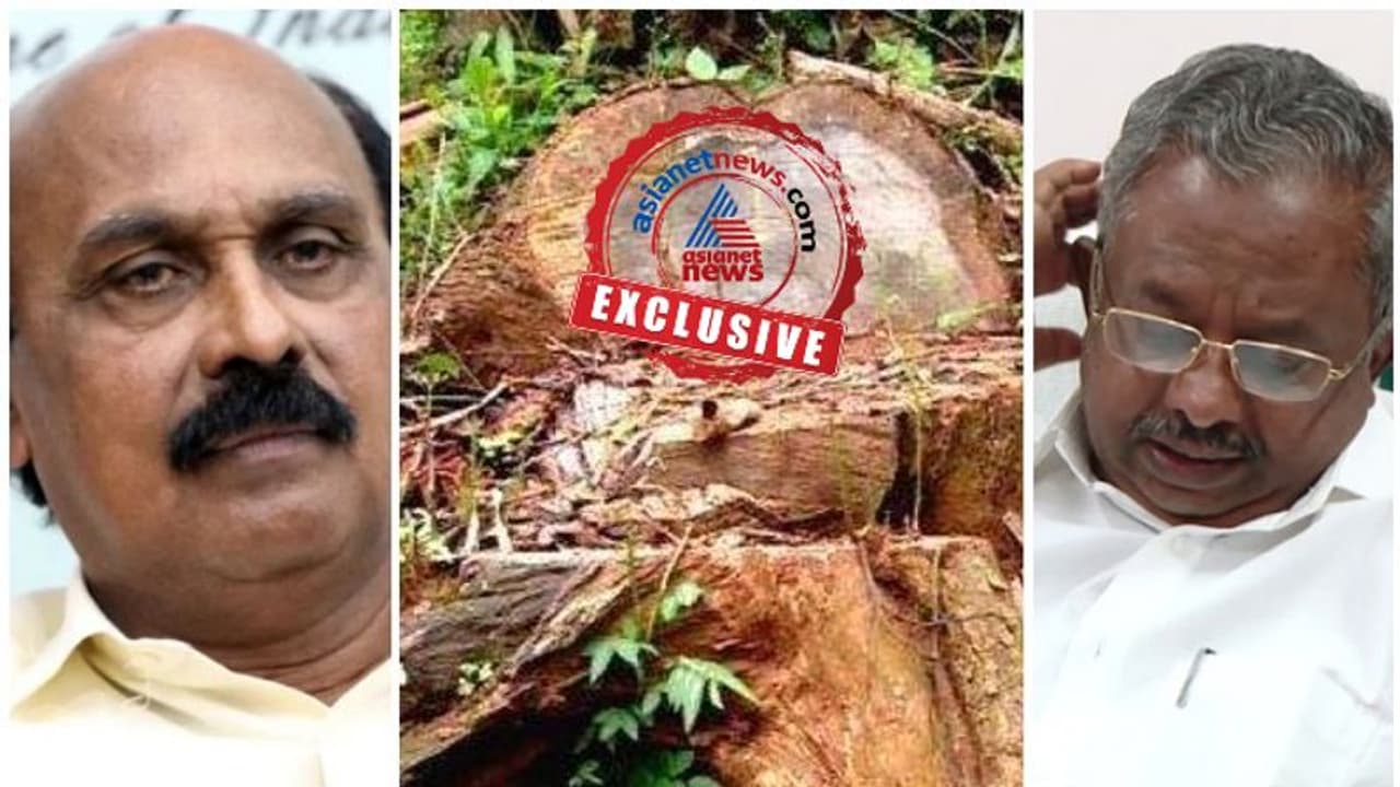 വിവാദ മരംമുറി ഉത്തരവിറക്കിയത് മുൻ വനം റവന്യൂ മന്ത്രിമാർ കൂടിയാലോചിച്ച്, രേഖകൾ പുറത്ത് വിവാദ മരംമുറി ഉത്തരവിറക്കിയത് മുൻ വനം റവന്യൂ മന്ത്രിമാർ കൂടിയാലോചിച്ച്, രേഖകൾ പുറത്ത്