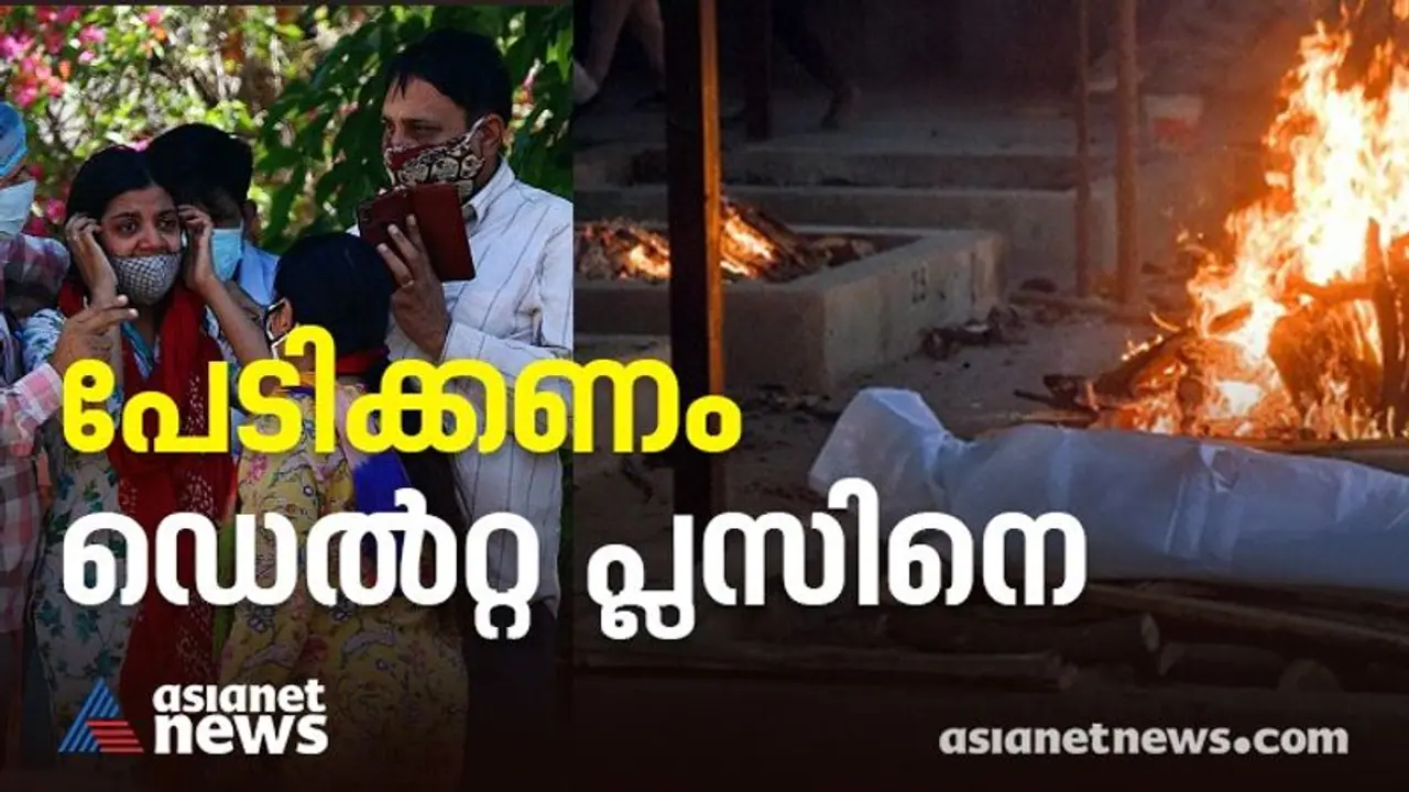 പേടിക്കണം ഡെൽറ്റ പ്ലസ് വകഭേദത്തെ, രാജ്യത്ത് കൊവിഡ് മരണസംഖ്യയിൽ ഈ മാസം വൻ വർദ്ധന പേടിക്കണം ഡെൽറ്റ പ്ലസ് വകഭേദത്തെ, രാജ്യത്ത് കൊവിഡ് മരണസംഖ്യയിൽ ഈ മാസം വൻ വർദ്ധന