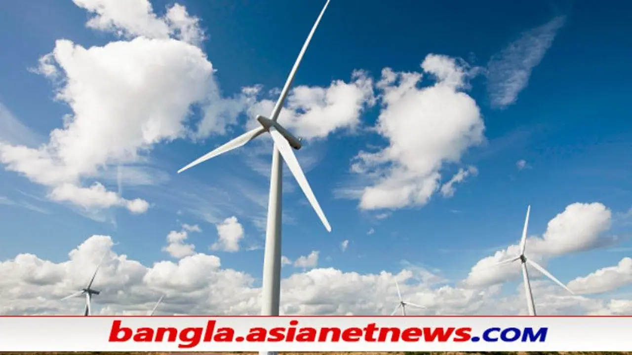 আজ বিশ্ব বায়ু দিবস কেন এই দিনটি পালন করা হয়, জেনে নিন এর ইতিহাস ও গুরুত্ব