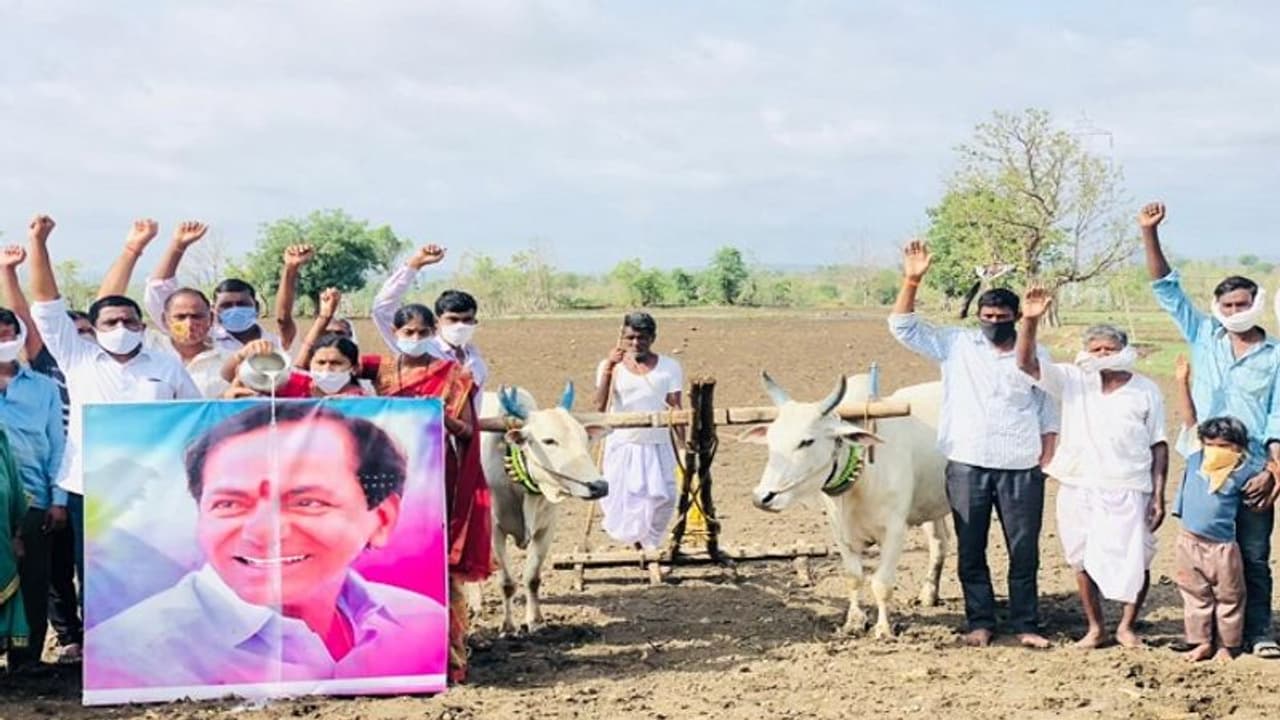 రైతు బాంధవుడు కేసీఆర్.. అంటూ చిత్రపటానికి పాలాభిషేకం.. (వీడియో) రైతు బాంధవుడు కేసీఆర్.. అంటూ చిత్రపటానికి పాలాభిషేకం.. (వీడియో)