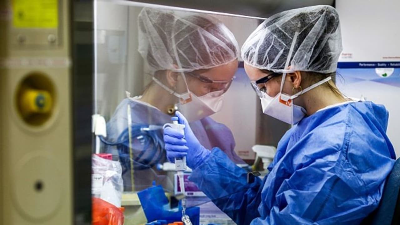 হদিশ মিলল করোনার নতুন প্রজাতির, কতটা মারাত্মক 'ডেল্টা প্লাস' হদিশ মিলল করোনার নতুন প্রজাতির, কতটা মারাত্মক 'ডেল্টা প্লাস'