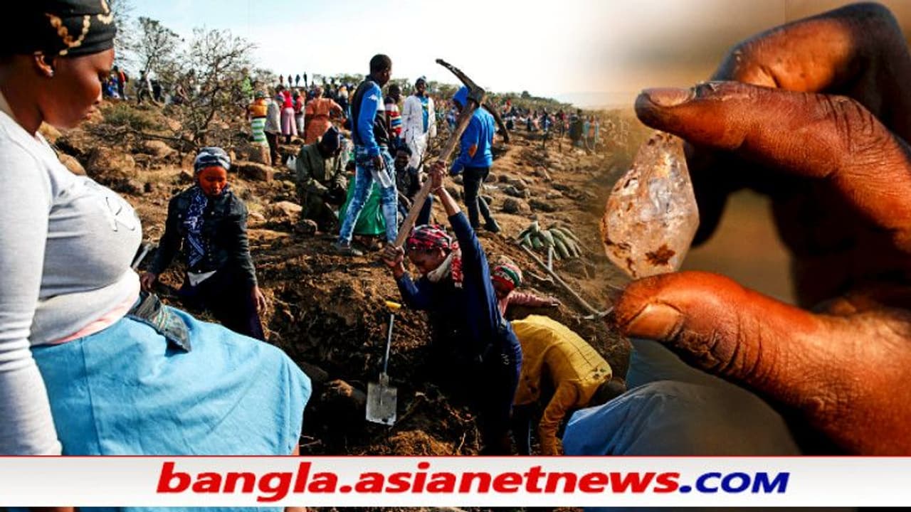 পশু চড়াতে গিয়ে হাতে আসল 'হীরা', ভাগ্যের সন্ধানে ৫ দিন ধরে মাটি খুঁড়ছেন গ্রামবাসীরা পশু চড়াতে গিয়ে হাতে আসল 'হীরা', ভাগ্যের সন্ধানে ৫ দিন ধরে মাটি খুঁড়ছেন গ্রামবাসীরা