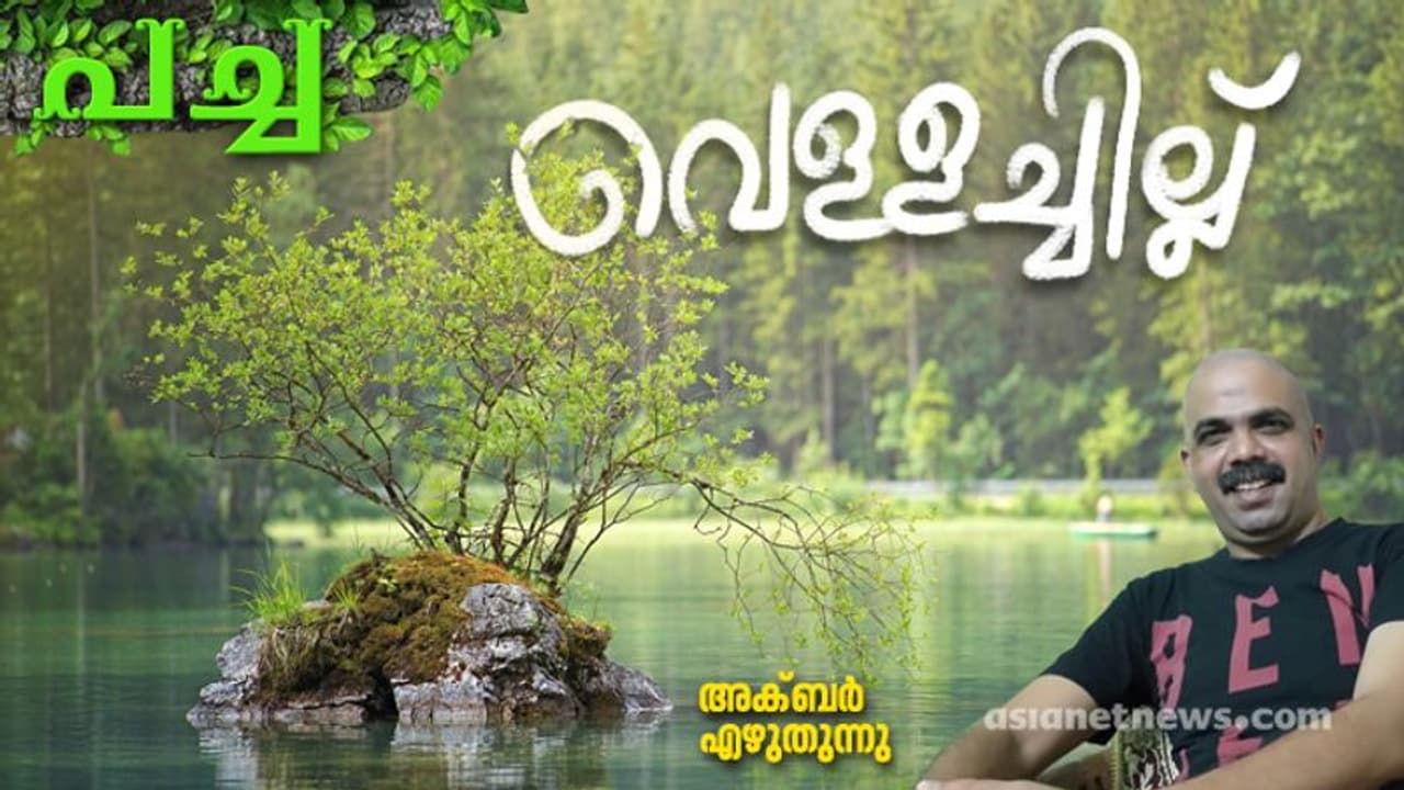 ആ മീനുകളും പക്ഷികളും എവിടെയാണ് മറഞ്ഞത്? ആ മീനുകളും പക്ഷികളും എവിടെയാണ് മറഞ്ഞത്?