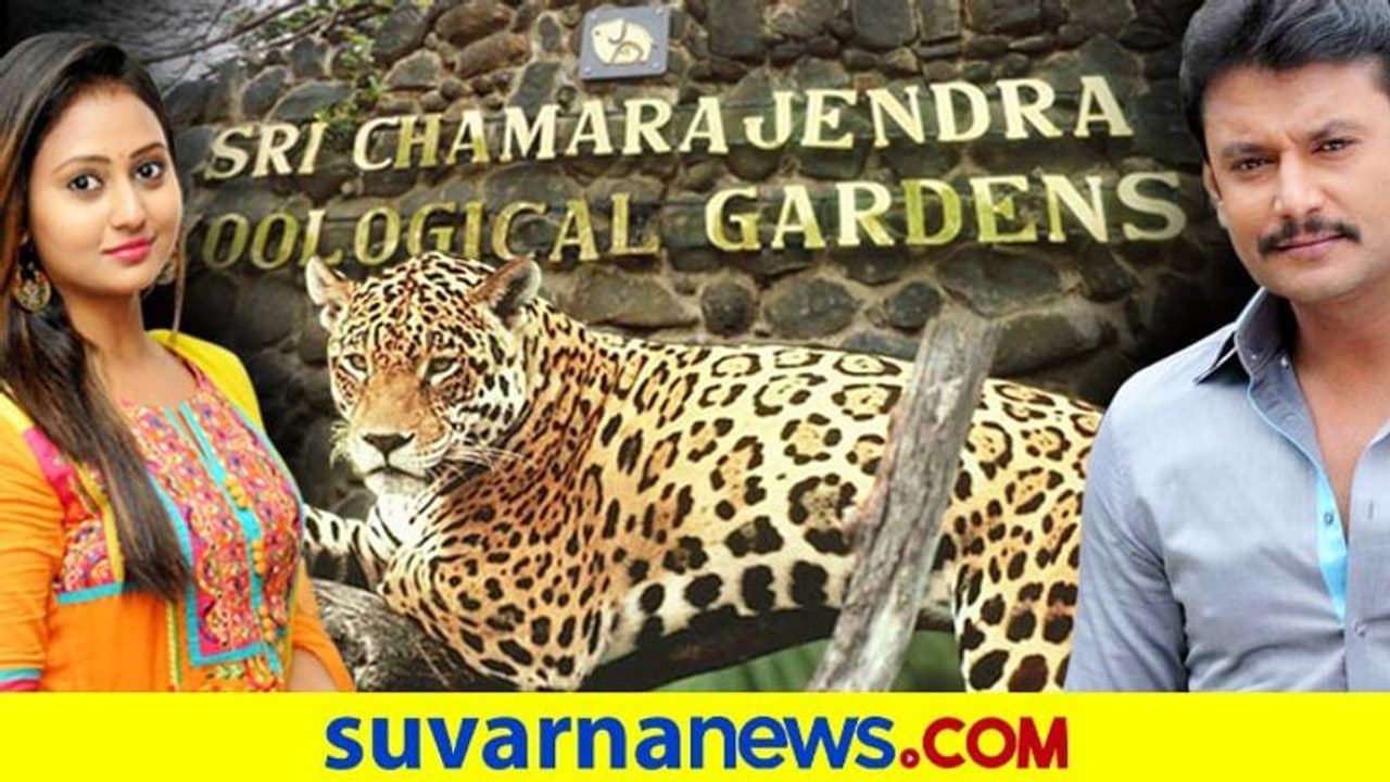 ದಾಸನ ಮಾತಿಗೆ ಜೈ ಅಂದ್ರು ಅಮೂಲ್ ಬೇಬಿ, ಈಕೆ ದತ್ತು ಪಡೆದ ಪ್ರಾಣಿ ಯಾವ್ದು ಗೊತ್ತಾ! ದಾಸನ ಮಾತಿಗೆ ಜೈ ಅಂದ್ರು ಅಮೂಲ್ ಬೇಬಿ, ಈಕೆ ದತ್ತು ಪಡೆದ ಪ್ರಾಣಿ ಯಾವ್ದು ಗೊತ್ತಾ!