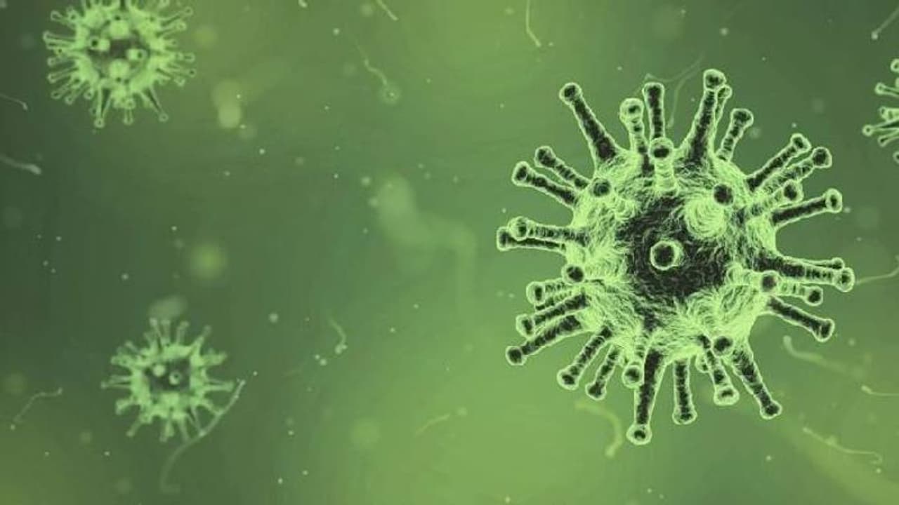 ഫംഗസുകള്‍ക്ക് ഭാവിയില്‍ ഭൂമുഖത്ത് നിന്നും മനുഷ്യനെ തുടച്ചുനീക്കാൻ കഴിയുമെന്ന് മുന്നറിയിപ്പ് 