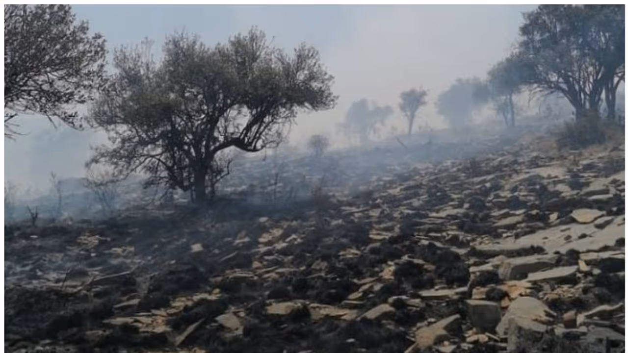ഒമാനിലെ അല് ഹംറയില് കാട്ടുതീ; നിയന്ത്രിക്കാനുള്ള ശ്രമം തുടര്ന്ന് അഗ്നിശമനസേന ഒമാനിലെ അല് ഹംറയില് കാട്ടുതീ; നിയന്ത്രിക്കാനുള്ള ശ്രമം തുടര്ന്ന് അഗ്നിശമനസേന
