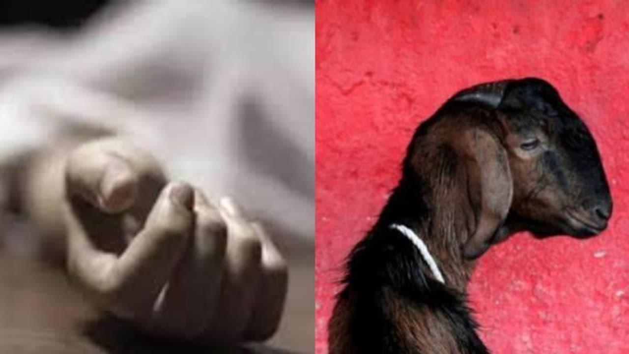 போதைன்னாலும் ஓர் அளவு வேண்டாமா.? நேர்த்திக் கடனில் ஆடுக்குப் பதில் மனித தலையில் ஒரே வெட்டு.! போதைன்னாலும் ஓர் அளவு வேண்டாமா.? நேர்த்திக் கடனில் ஆடுக்குப் பதில் மனித தலையில் ஒரே வெட்டு.!