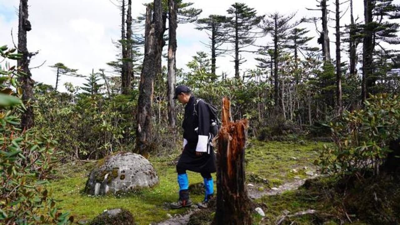 ഭൂട്ടാനിൽ കൊവിഡ് സ്ഥിതിഗതികൾ നേരിട്ടറിയാൻ രാജാവിന്റെ കാൽനട യാത്ര, കയ്യടിച്ച് സോഷ്യൽ മീഡിയ ഭൂട്ടാനിൽ കൊവിഡ് സ്ഥിതിഗതികൾ നേരിട്ടറിയാൻ രാജാവിന്റെ കാൽനട യാത്ര, കയ്യടിച്ച് സോഷ്യൽ മീഡിയ