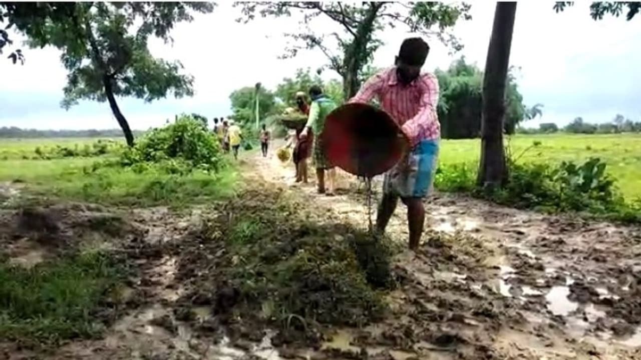 জামাইষষ্ঠীর উপহার, গ্রামের রাস্তা তৈরি করে দিলেন খোদ জামাইরা জামাইষষ্ঠীর উপহার, গ্রামের রাস্তা তৈরি করে দিলেন খোদ জামাইরা