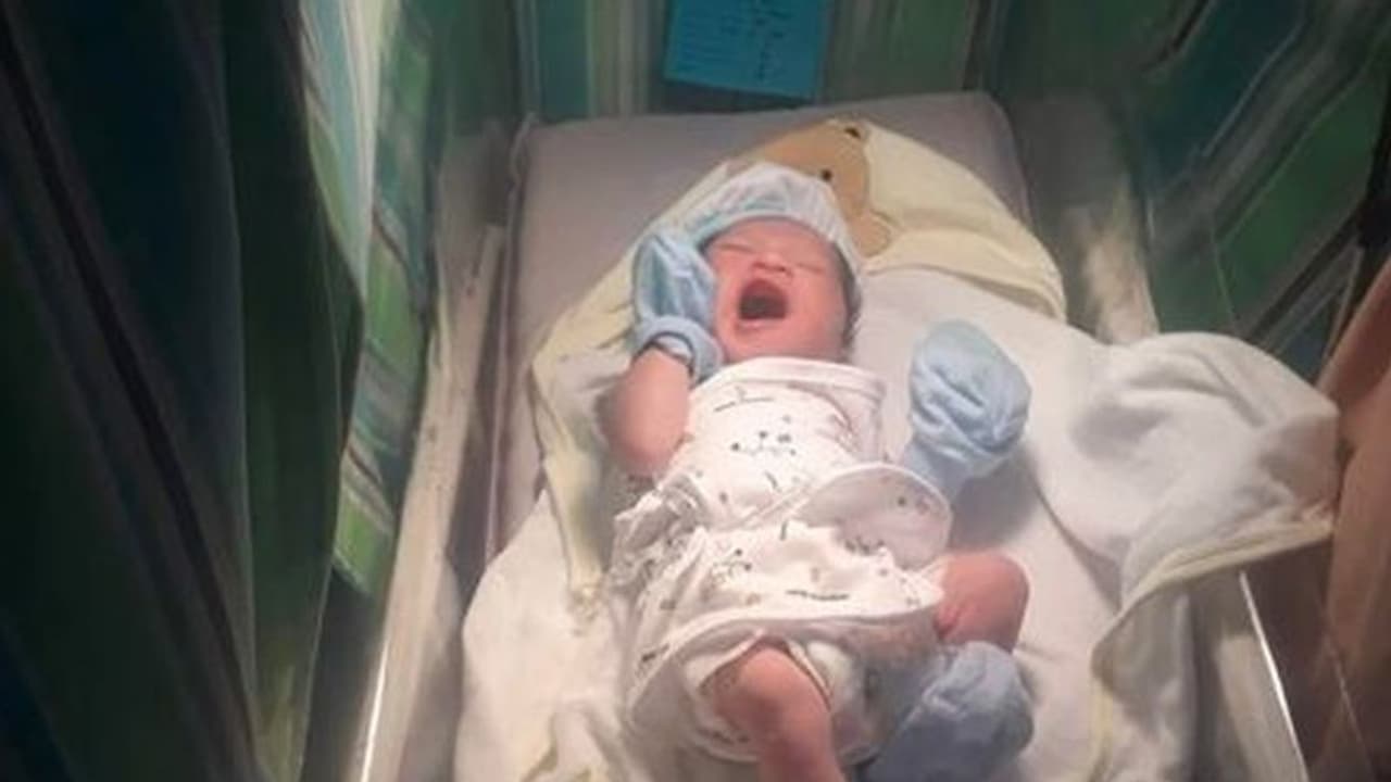 एक पिता ने अपने बच्चे का नाम रखा 'HTML,' ट्रोल होने पर बताया मेरे खानदान में यूनिक नाम की भरमार एक पिता ने अपने बच्चे का नाम रखा 'HTML,' ट्रोल होने पर बताया मेरे खानदान में यूनिक नाम की भरमार