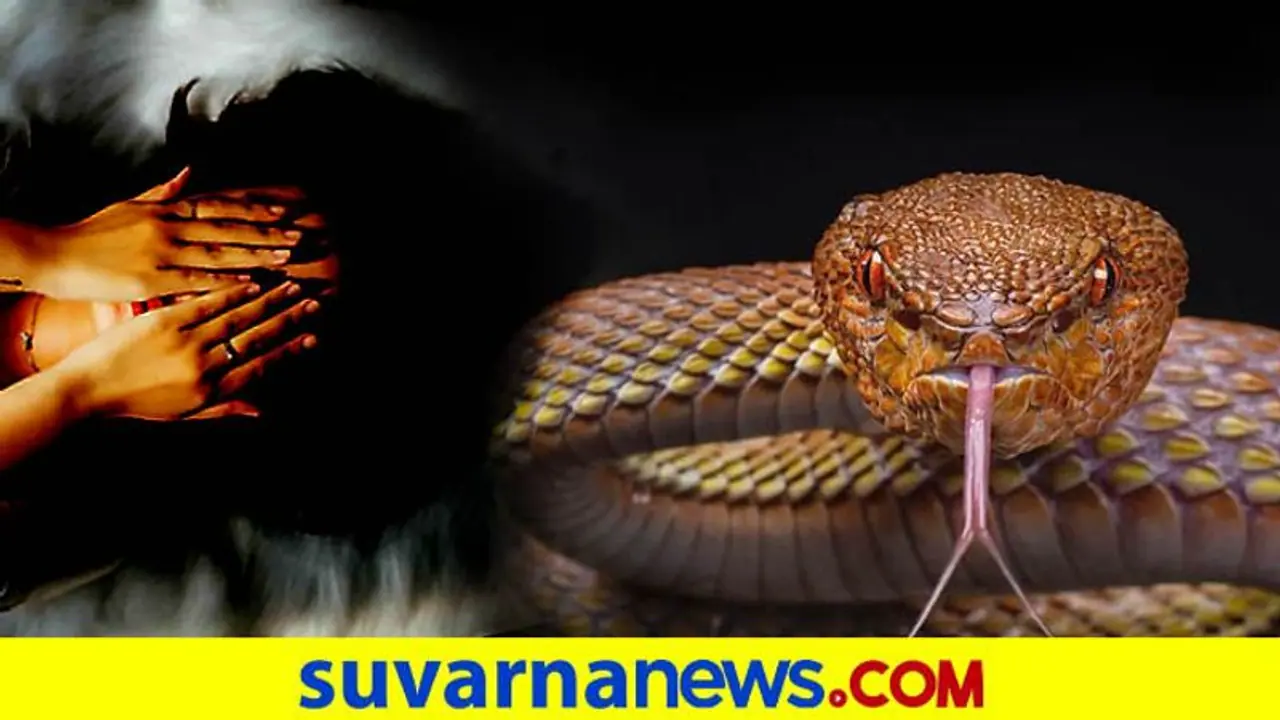 ಕನಸಿನಲ್ಲಿ ಹಾವು: ಏನು ಹೇಳುತ್ತೆ ಸ್ವಪ್ನ ಶಾಸ್ತ್ರ, ಶುಭವೋ, ಅಶುಭವೋ?