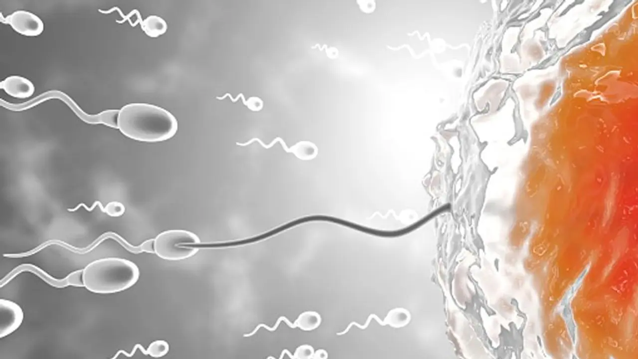 Sperm plastic:ವೀರ್ಯದಿಂದ ಪರಿಸರ ಸ್ನೇಹಿ ಪ್ಲಾಸ್ಟಿಕ್ ಆವಿಷ್ಕಾರ, ವಿಜ್ಞಾನಿಗಳ ಕಾರ್ಯಕ್ಕೆ ಭಾರಿ ಮೆಚ್ಚುಗೆ! Sperm plastic:ವೀರ್ಯದಿಂದ ಪರಿಸರ ಸ್ನೇಹಿ ಪ್ಲಾಸ್ಟಿಕ್ ಆವಿಷ್ಕಾರ, ವಿಜ್ಞಾನಿಗಳ ಕಾರ್ಯಕ್ಕೆ ಭಾರಿ ಮೆಚ್ಚುಗೆ!